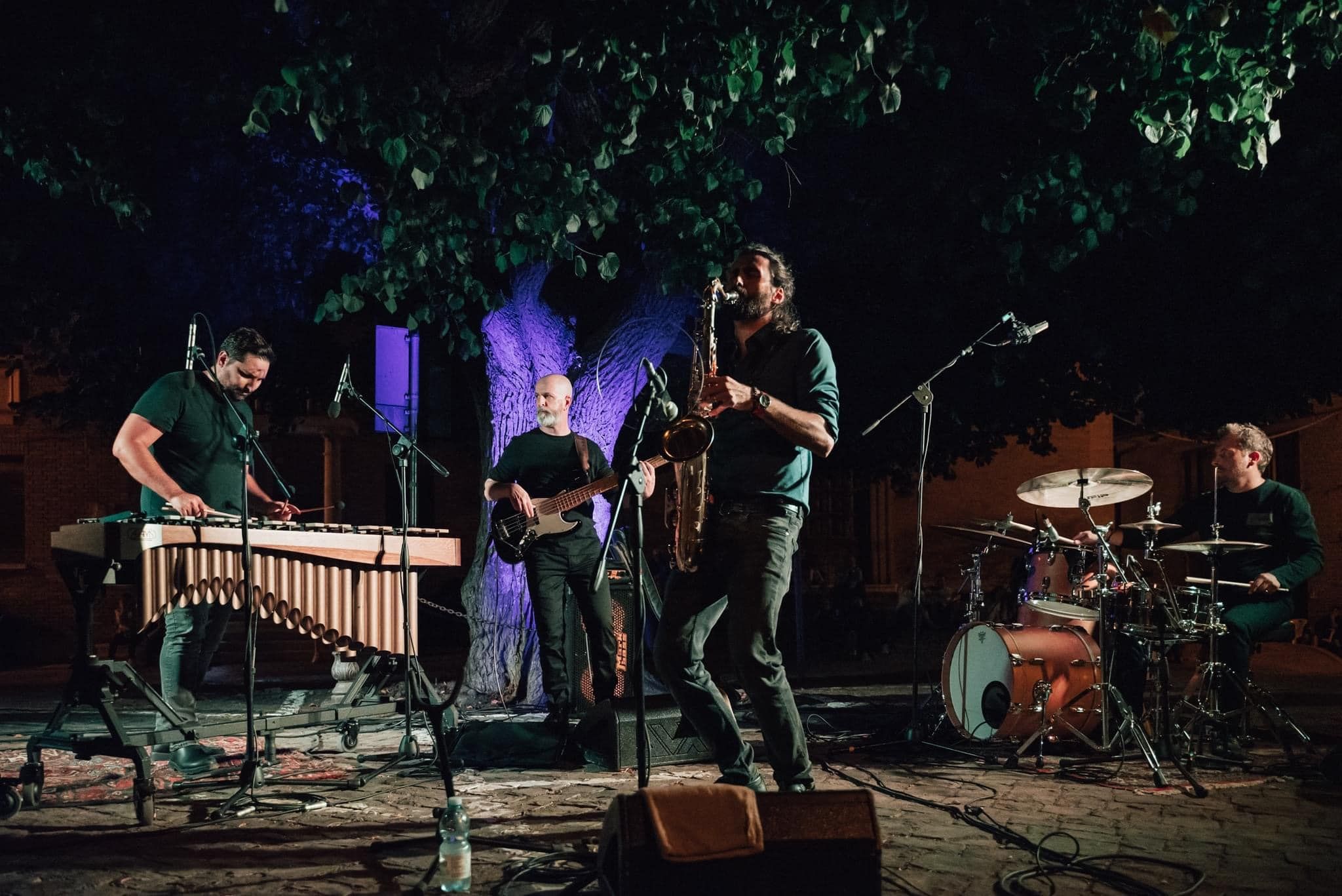 Milo Lombardi performing live at Fano Jazz by The Sea - Italian jazz band for luxury weddings and events